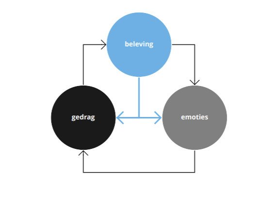 Schema: gedrag-beleving-emoties