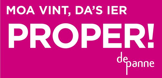 Logo De Panne proper