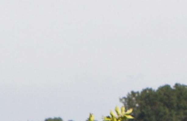 Rustplaats aan de Maas