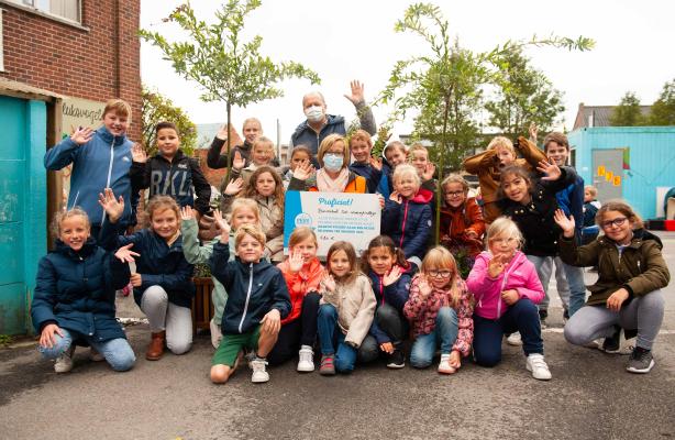 Operatie Proper  