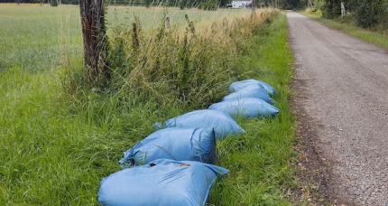 sluikstort Geel